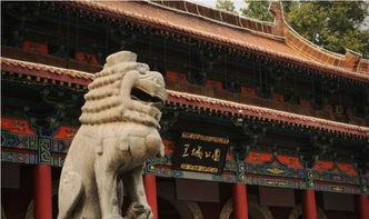 洛阳王城公园爆料案最新,真相大白,疑云散去!